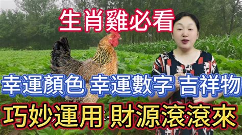 屬雞的幸運數字|屬雞的幸運數字是多少 「 不同年份屬雞人」幸運數字。